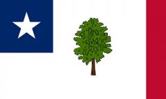 Mississippi state flag before 1890