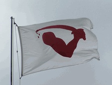 Goliad Flag