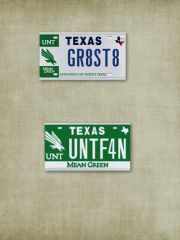 New NT plate design 2012